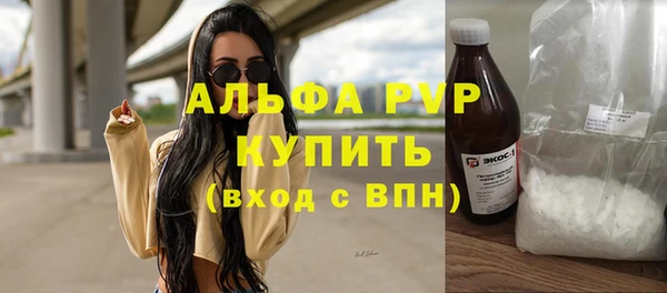 крисы Бородино