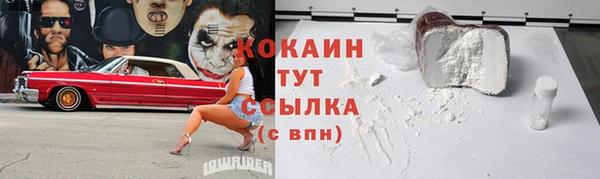 крисы Бородино