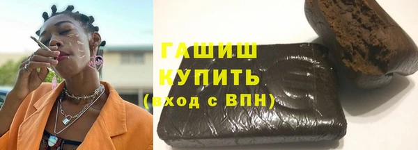 крисы Бородино