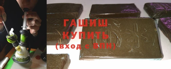 крисы Бородино