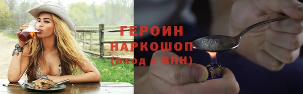 крисы Бородино