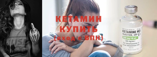 крисы Бородино