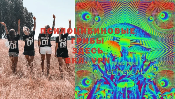 ПСИЛОЦИБИНОВЫЕ ГРИБЫ Ростов