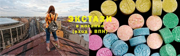 крисы Бородино