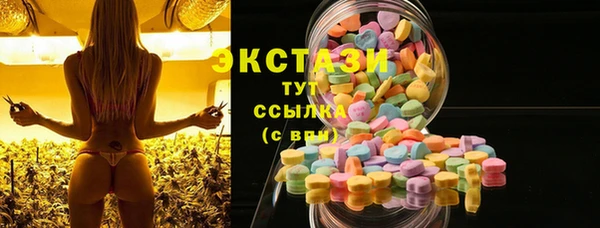 крисы Бородино