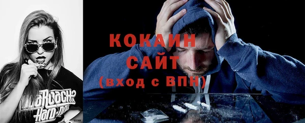 крисы Бородино