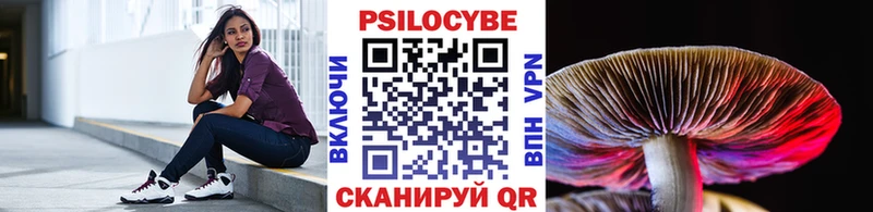Псилоцибиновые грибы мицелий  купить   Медногорск 
