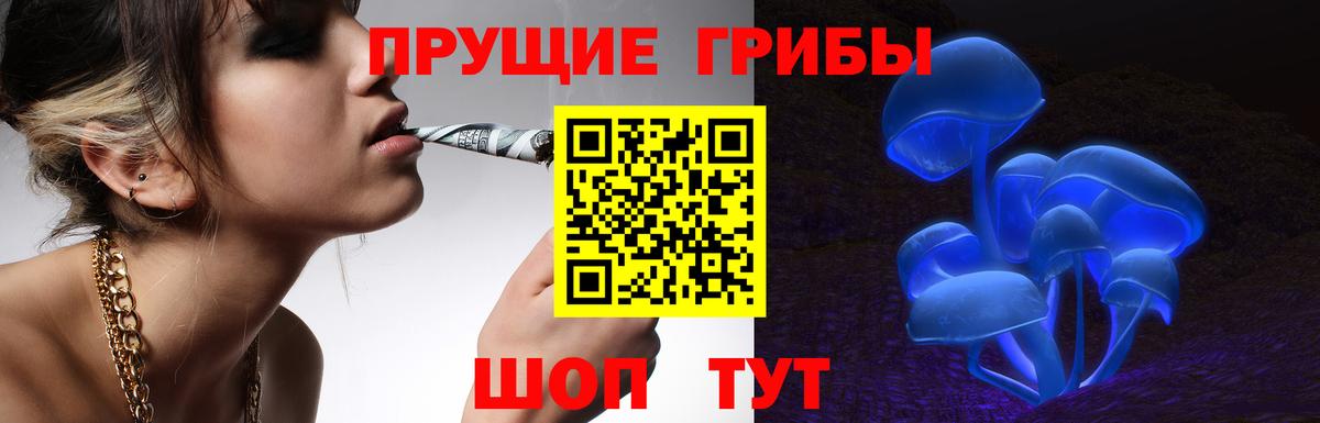 Псилоцибиновые грибы мухоморы  Вход с VPN  Медногорск  Псилоцибиновые грибы Magic Shrooms 