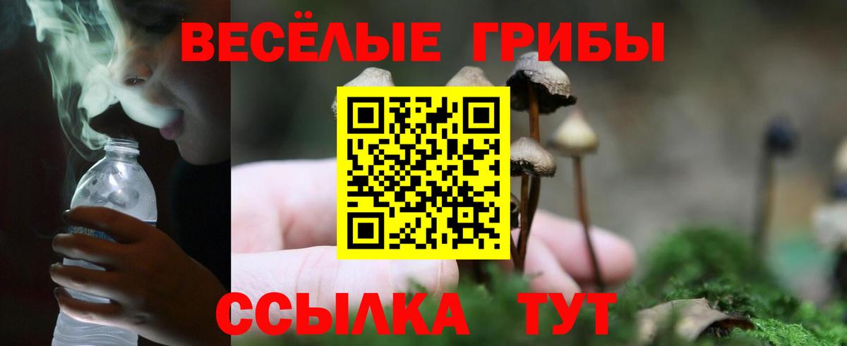 Галлюциногенные грибы GOLDEN TEACHER Медногорск