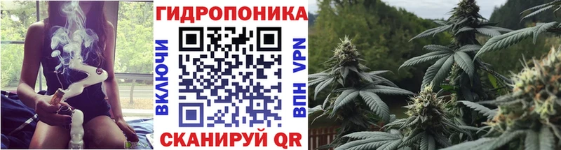 как найти наркотики блэк спрут ссылки Конопля AK-47 Медногорск